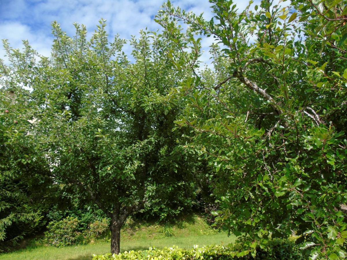 Maison L'Hirondelle Rustique A Tournavaux Екстериор снимка
