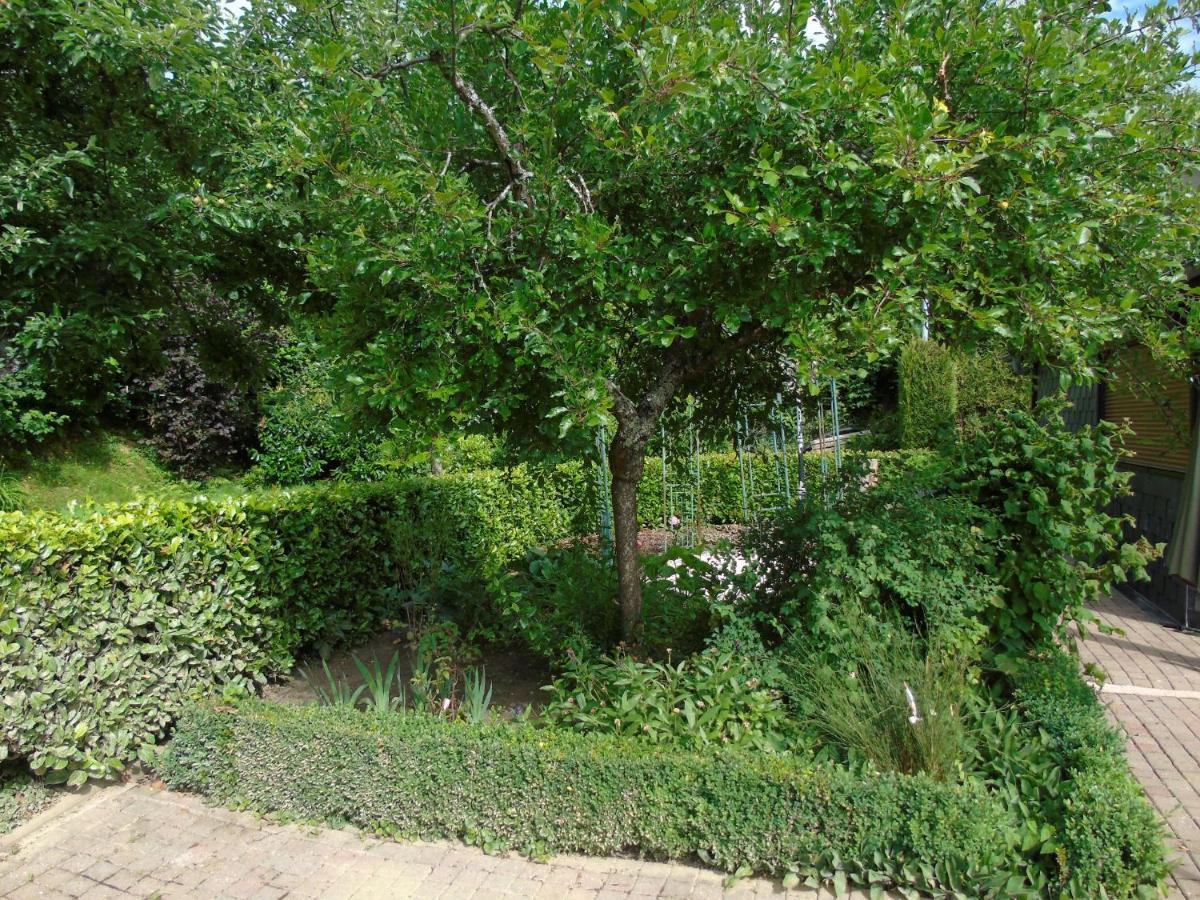 Maison L'Hirondelle Rustique A Tournavaux Екстериор снимка